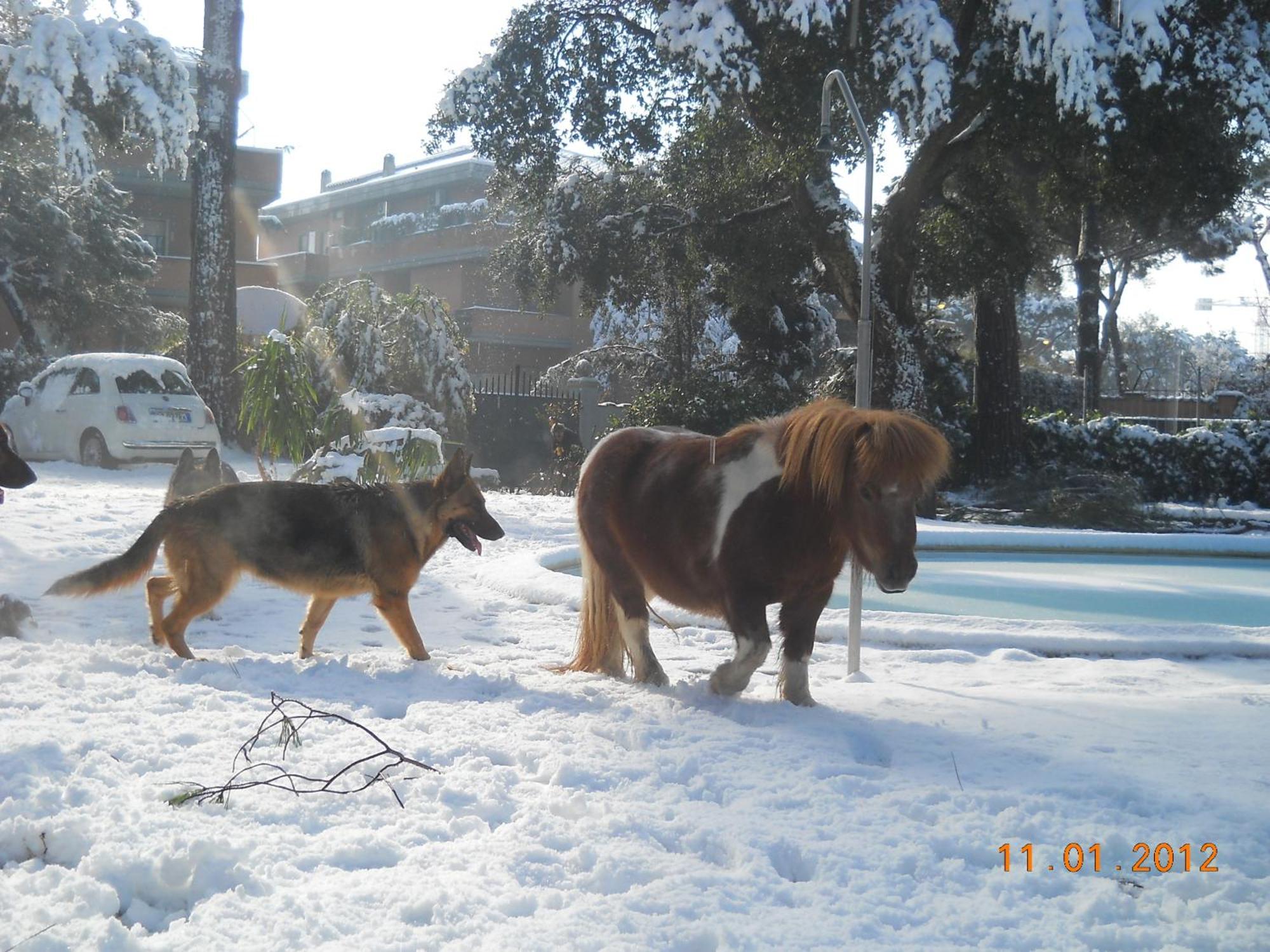 Relais La Canfora Ρώμη Εξωτερικό φωτογραφία