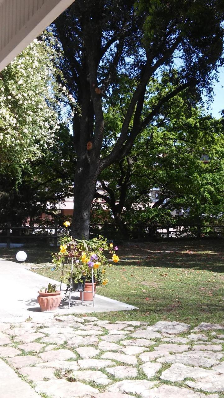 Relais La Canfora Ρώμη Εξωτερικό φωτογραφία